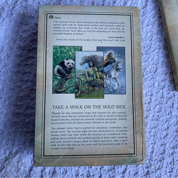 Animals Divine by Lisa Hunt Tarot card box set First Printing / First Edition - Picture 13 of 16